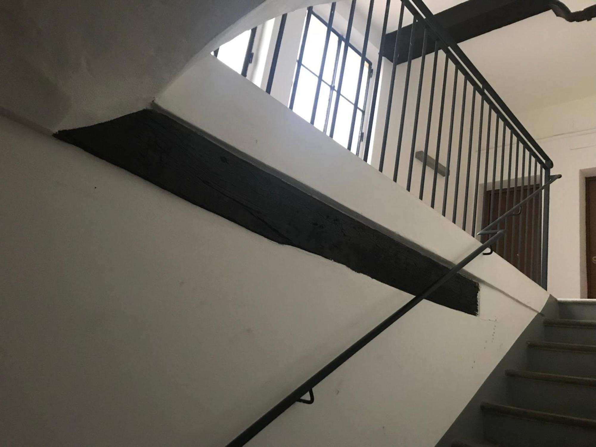 Domus Appartement Modena Buitenkant foto